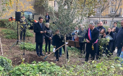 . Un olivier planté en mémoire du jeune Ilan Halimi
